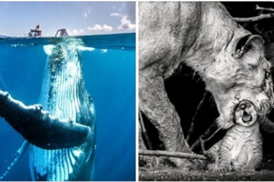 20 zapierających dech w piersiach ujęć od National Geographic