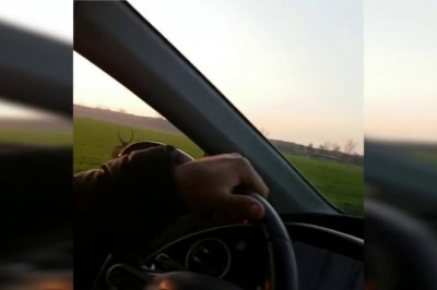 Pędzący jeleń kontra samochód. Niesamowity film z Wielkopolski