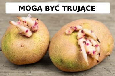 10 zdrowych produktów, które mogą być szkodliwe w przypadku nieprawidłowego spożycia