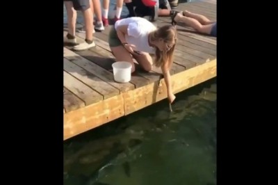 Blondynka kontra wygłodniałe rekiny. Zdjęcia na instagram już raczej nie wrzuci