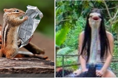 Zdjęcia zwierzaków zrobione w idealnym momencie. Trzeba mieć szczęście 