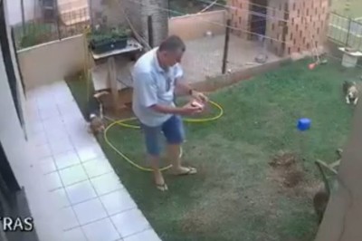 Typ mocno przesadził. W taki sposób chciał się pozbyć kreta z ogródka 