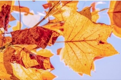 Nad Polskę nadciąga „Jarosław”. Czeka nas drastyczna zmiana pogody 