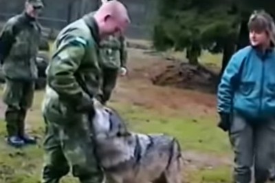 Kobieta walczy z wilkiem. Wszystkich, aż zatkało na ten widok