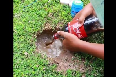 Gdy myślisz, że widziałeś już wszystko, wtedy pojawia się taki filmik