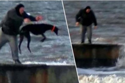 Wszedł na molo i bez wahania wrzucił swojego psa do zimnego morza. Świadkowie byli przerażeni