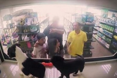 W sklepie zoologicznym zastąpiono rasowe szczeniaki psami ze schroniska. Klienci  zareagowali