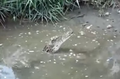 Ten kultowy filmik ma już 10 lat, a i tak nie wszyscy go widzieli