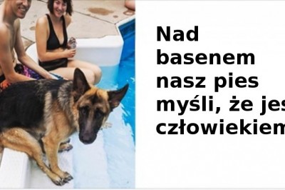 Te zdjęcia jasno pokazują, że zwierzaki coraz bardziej upodabniają się do swoich właścicieli.