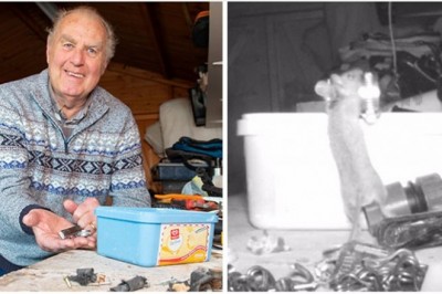 „Byłem przekonany, że zaczynam wariować.” Nagrał mysz. która co noc sprzątała mu w altance