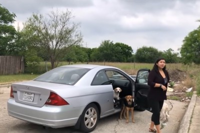 Kobieta przyłapana na gorącym uczynku jak porzuca swoje psy