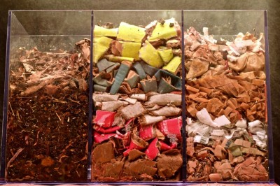 Oto jak dżdżownice radzą sobie w 100 dni z liśćmi, kartonem i papierem