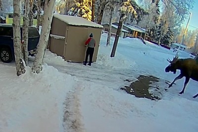 Codzienna porcja ciekawych i zabawnych filmików #50