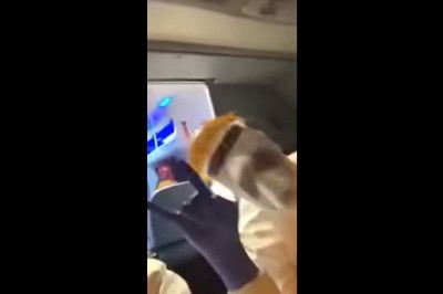 Wyluzowana załoga karetki pogotowia jedzie na sygnale