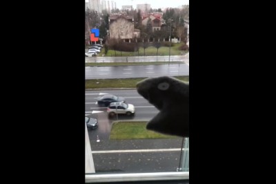 Kiedy musisz siedzieć w domu i zaczyna Ci się mocno nudzić