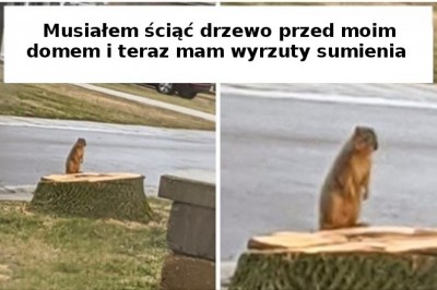 18 zdjęć pokazujących wpływ człowieka na środowisko. Często niestety negatywny