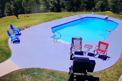 Nic dziwniejszego dzisiaj nie zobaczysz. Absurdalny filmik z basenu 