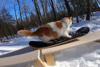 Codzienna porcja ciekawych i zabawnych filmików #83