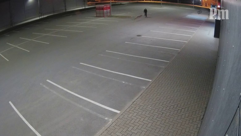 Sarna, która polowała na rowerzystę nocą na parkingu