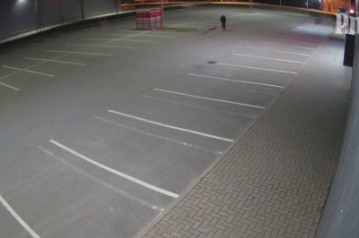 Sarna, która polowała na rowerzystę nocą na parkingu