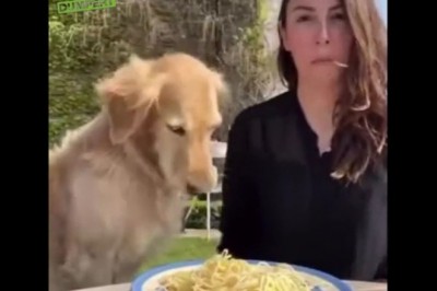 Codzienna porcja ciekawych i zabawnych filmików #87