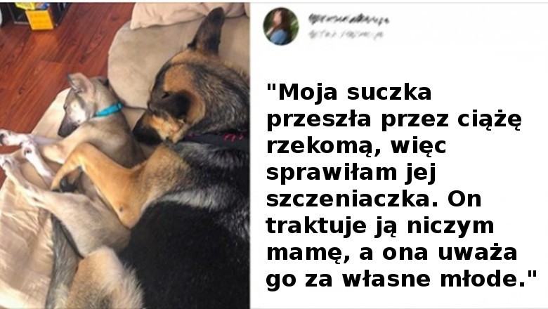 15 zdjęć pokazujących, że cuda naprawdę się zdarzają i możemy ich doświadczyć 