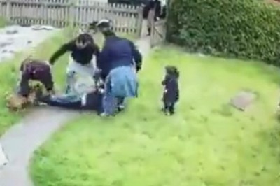 Puszek nie gryzie? Pitbull kontra przypadkowy przechodzień 