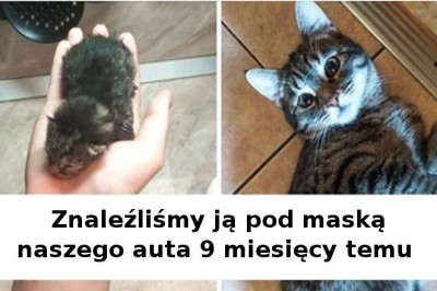 18 szczerych fotografii pokazujących jak szybko rosną nasze zwierzaki 