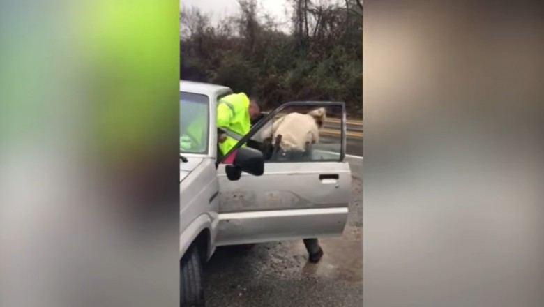 Zabrał policjantom radiowóz. Tak się skończyła ta interwencja 