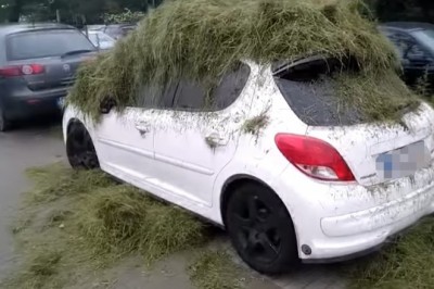 Mistrzowska akcja za parkowanie na trawniku w Warszawie