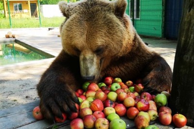 Codzienna porcja ciekawych i zabawnych filmików #133