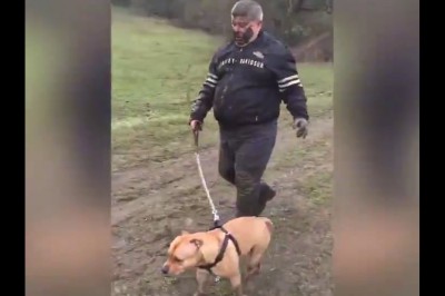 „Nawet się do mnie nie odzywaj”. Czyli piękny powrót ze spaceru z psem 