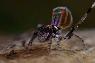 Codzienna porcja ciekawych i zabawnych filmików #154