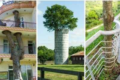 Ci architekci pokazują szacunek wobec natury, który przywraca wiarę w ludzkość