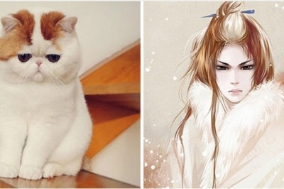 Chiński artysta tworzy ludzkie repliki zdjęć kotów. Jakim Ty jesteś kotem?