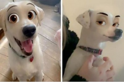 Ten niezwykły filtr sprawia, że twój pies wygląda jak postać z bajki Disneya