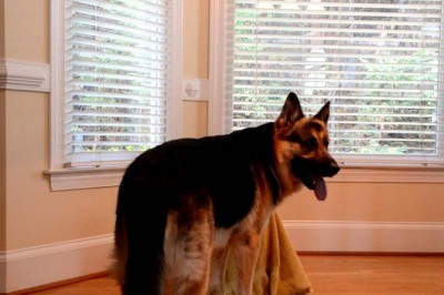 Codzienna porcja ciekawych i zabawnych filmików #171