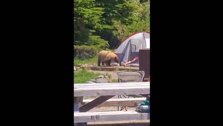 Leżysz sobie spokojnie w namiocie, a tu ziomek chce Ci zabrać buty