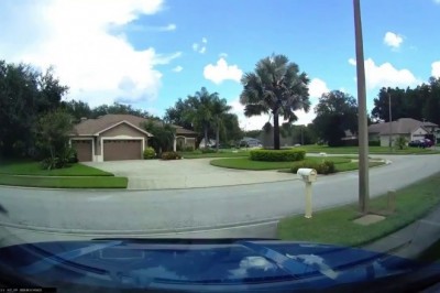 Codzienna porcja ciekawych i zabawnych filmików #175