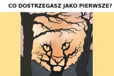 Pierwszy obrazek jaki zobaczysz powie ci, czego tak naprawdę pragnie twoje serce