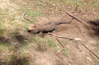 Codzienna porcja ciekawych i zabawnych filmików #184