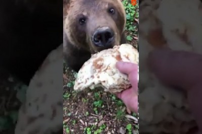 Codzienna porcja ciekawych i zabawnych filmików #191