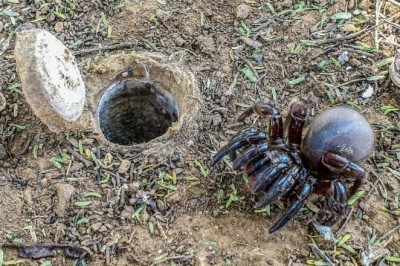 Codzienna porcja ciekawych i zabawnych filmików #201