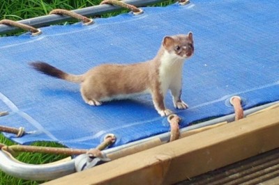 Codzienna porcja ciekawych i zabawnych filmików #209