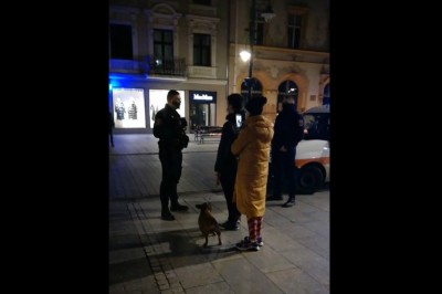 Strażnicy miejscy zwolnieni po interwencji. Nagranie z zajścia 