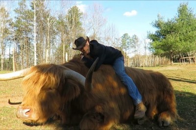 Codzienna porcja ciekawych i zabawnych filmików #234