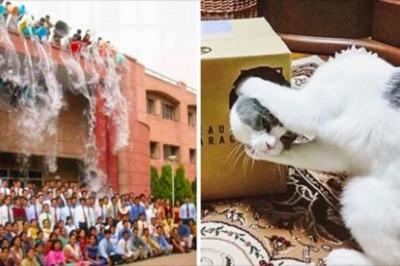 Seria zdjęć, które pozostawiają więcej pytań niż zakończenie Gry o Tron