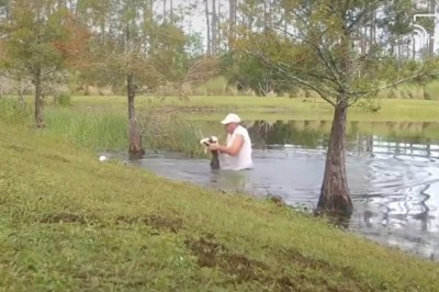 Gość wyciąga aligatora z wody, otwiera mu paszczę i ratuje swojego psa