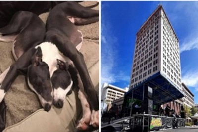 19 zdjęć, które sprawią, że możesz zwątpić we własne zmysły