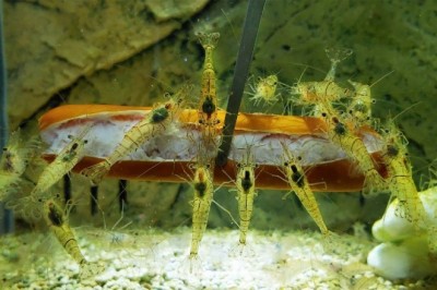 Codzienna porcja ciekawych i zabawnych filmików #281